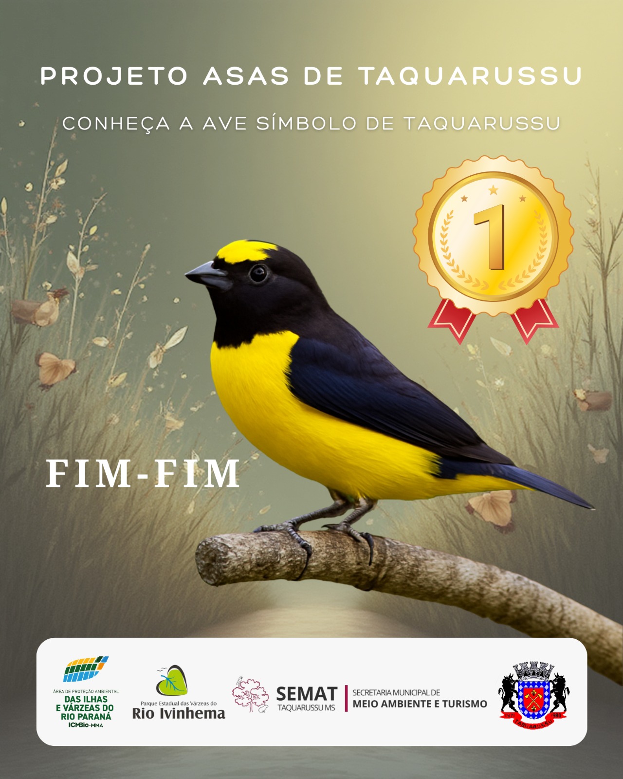 Taquarussu escolhe o Fim-fim como ave símbolo e fortalece identidade ambiental do município