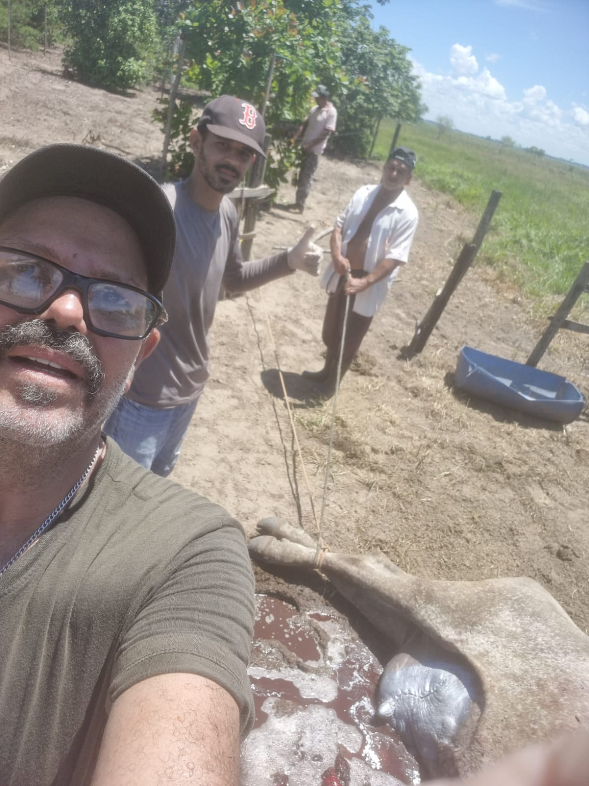 Atendimentos Veterinários Realizados com Sucesso na Propriedade Rural